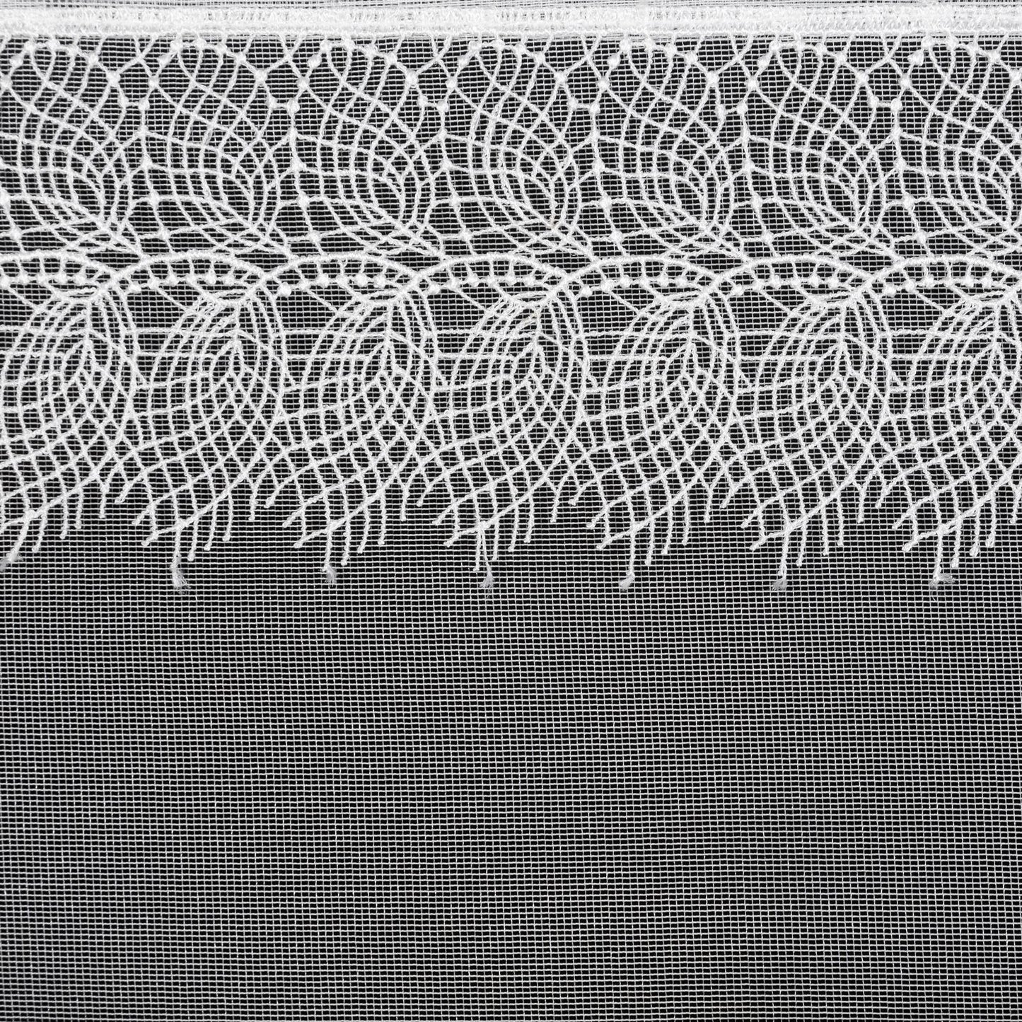 b830a8d10b53ffa3498aa49d9ffd0a97