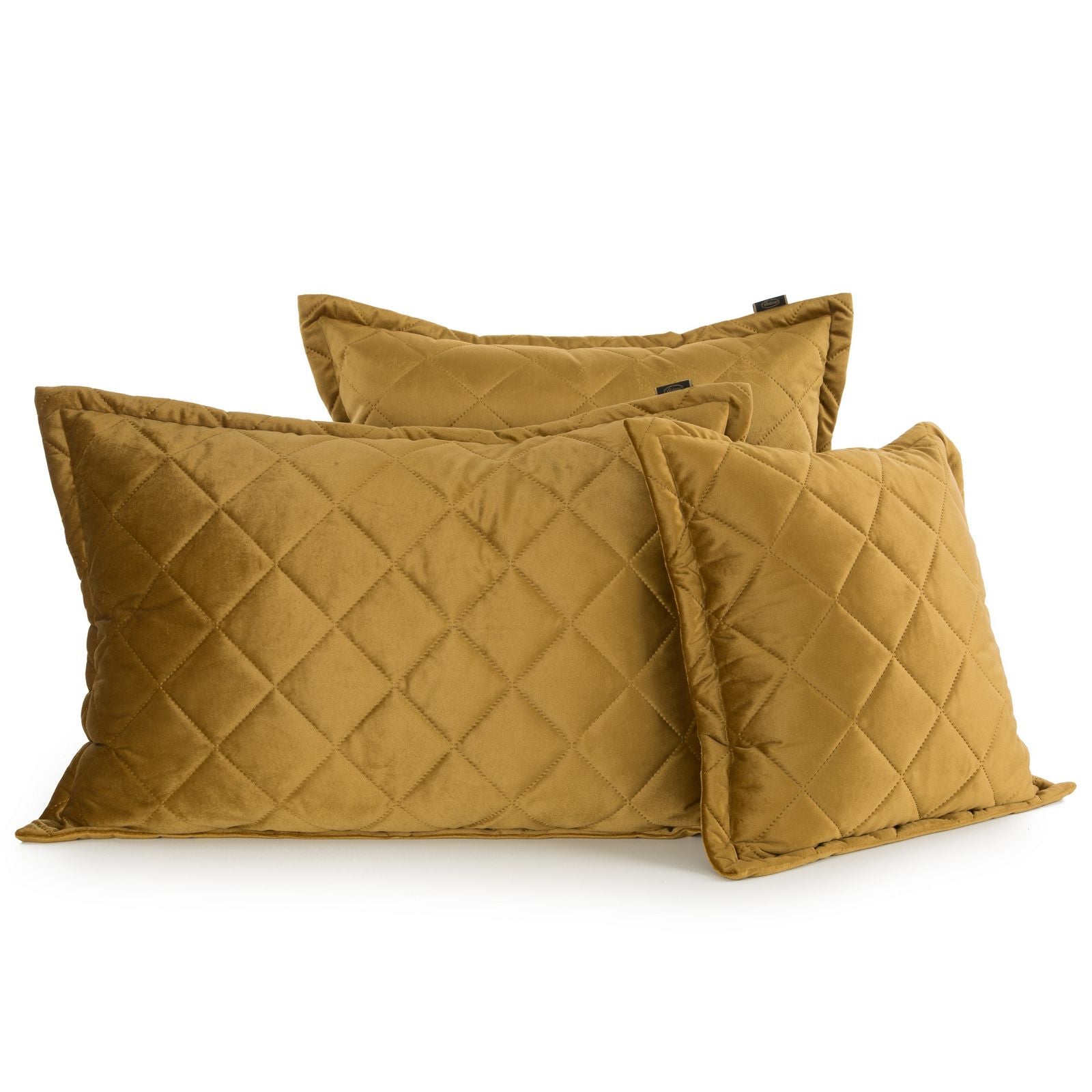 56058f50ac0454105189d18bcb05666c