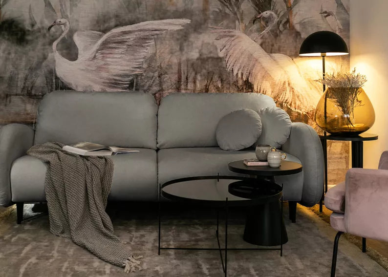 FRABA Izvelkamais dīvāns ar gulēšanas funkciju, veļas konteineru, pelēks velvets - N1 Home