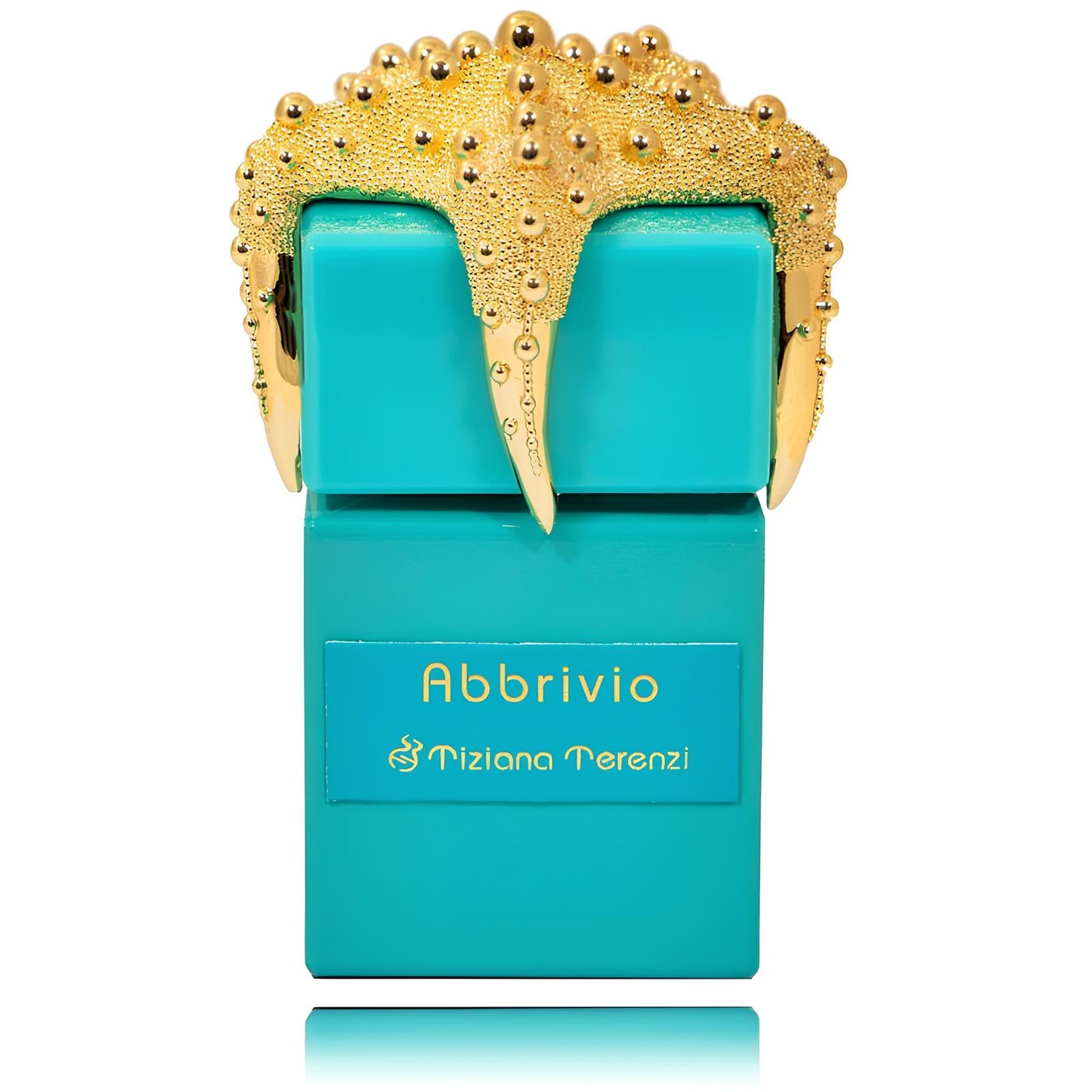 Tiziana Terenzi Abbrivio PAR U 100 ml