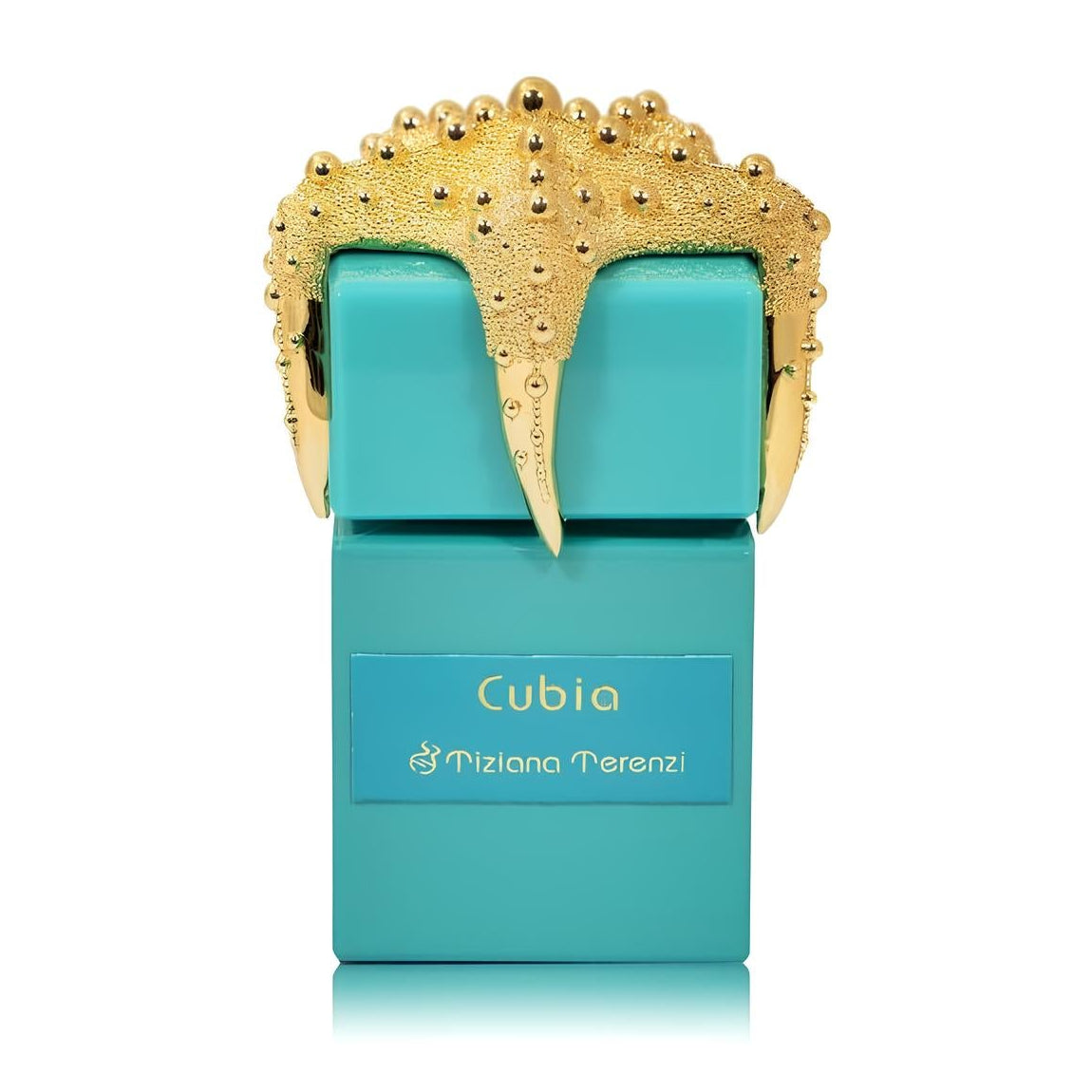 Tiziana Terenzi Cubia PAR U 100 ml