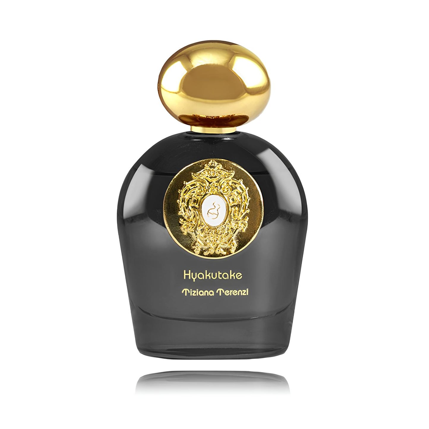 Tiziana Terenzi Hyakutake PAR U 100 ml