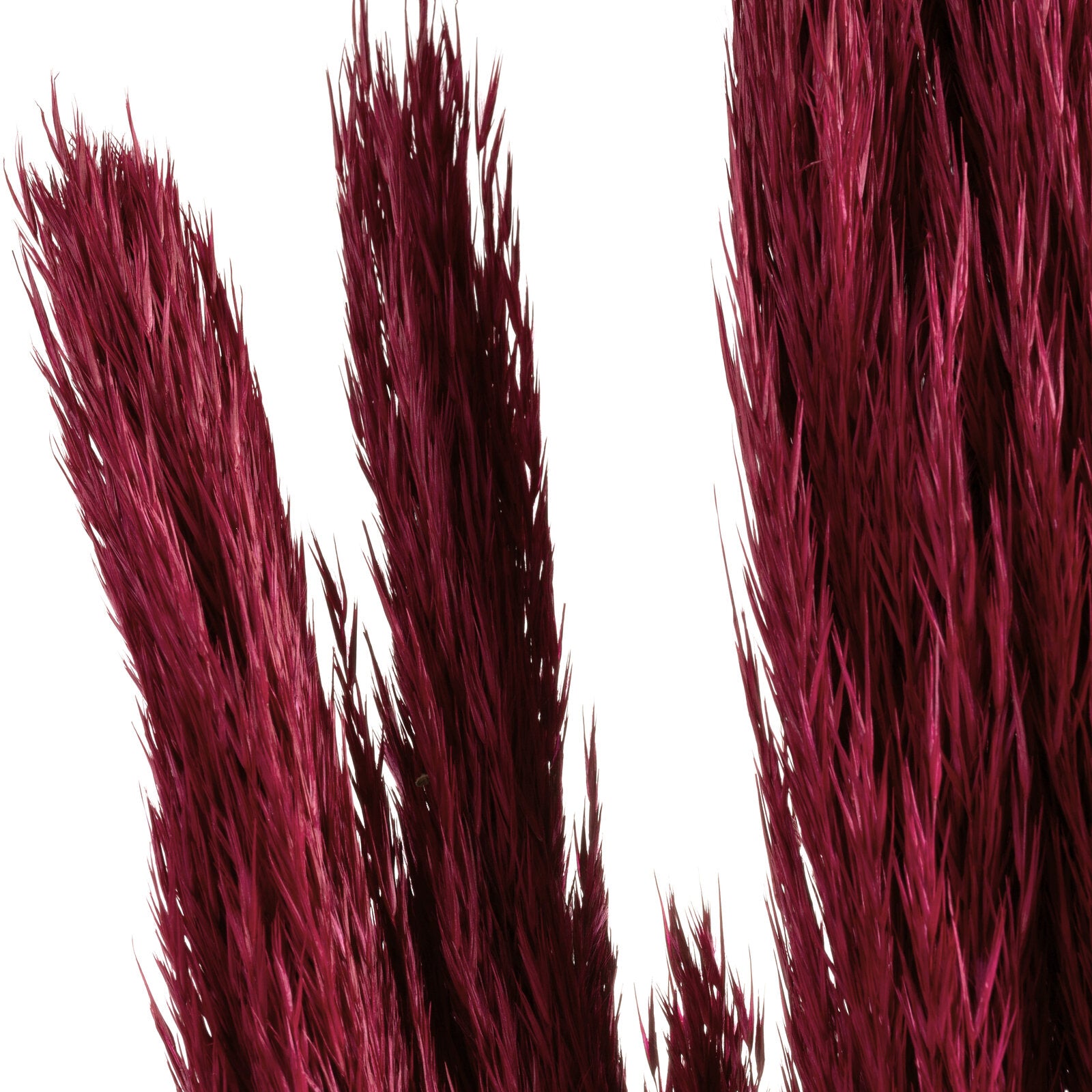 0c7348e38259adb25498a28d816008a9