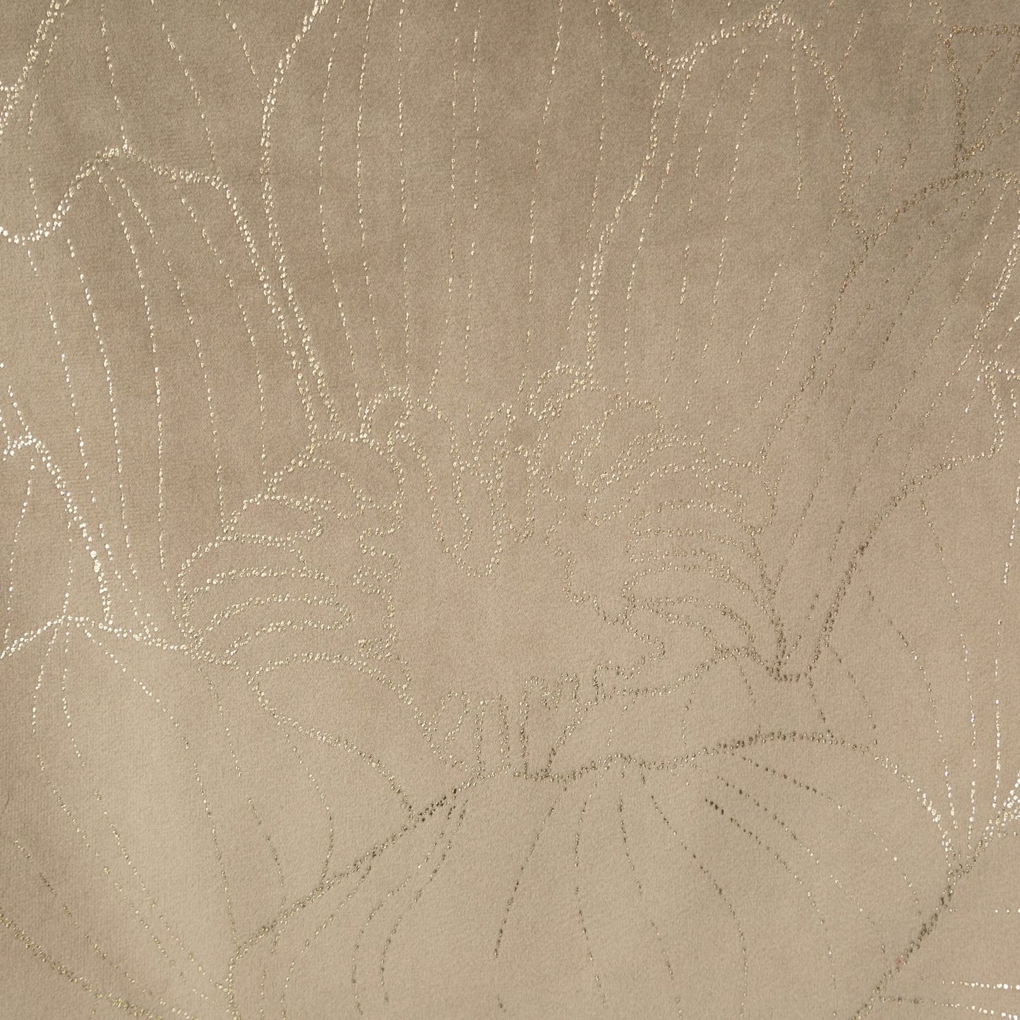 a30489dcdcbeb01d1e68a6ae9814f626