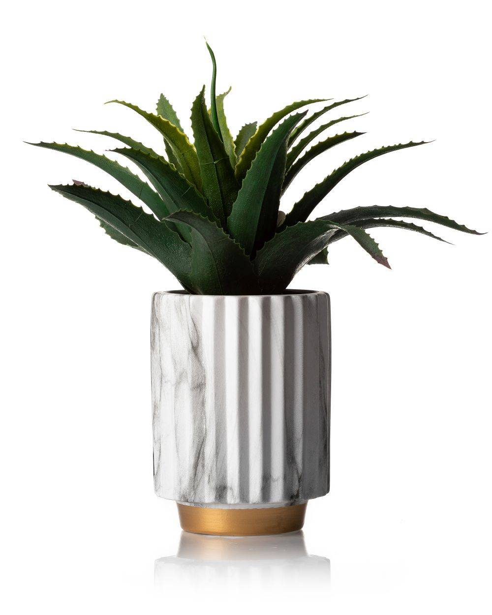 242094359460941e56deb583693128ed