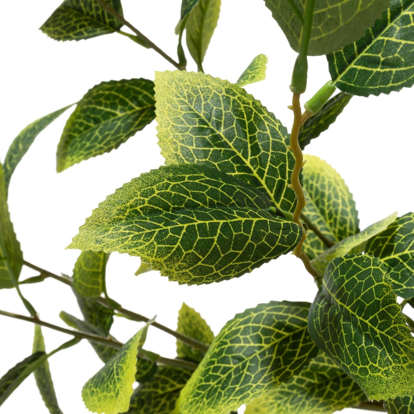 7b2bb9a228d4e4c1ddcc722143f1ce4b