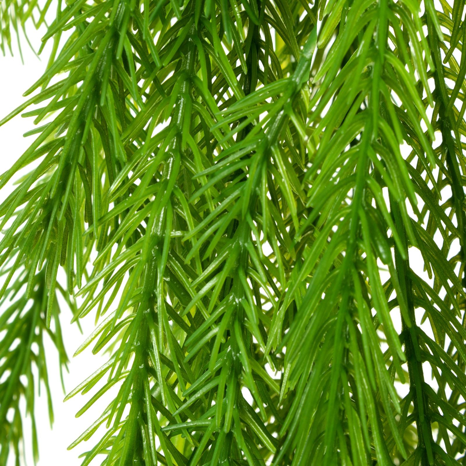 c2ef8cad56eeb2992da0e954f6d94cfa