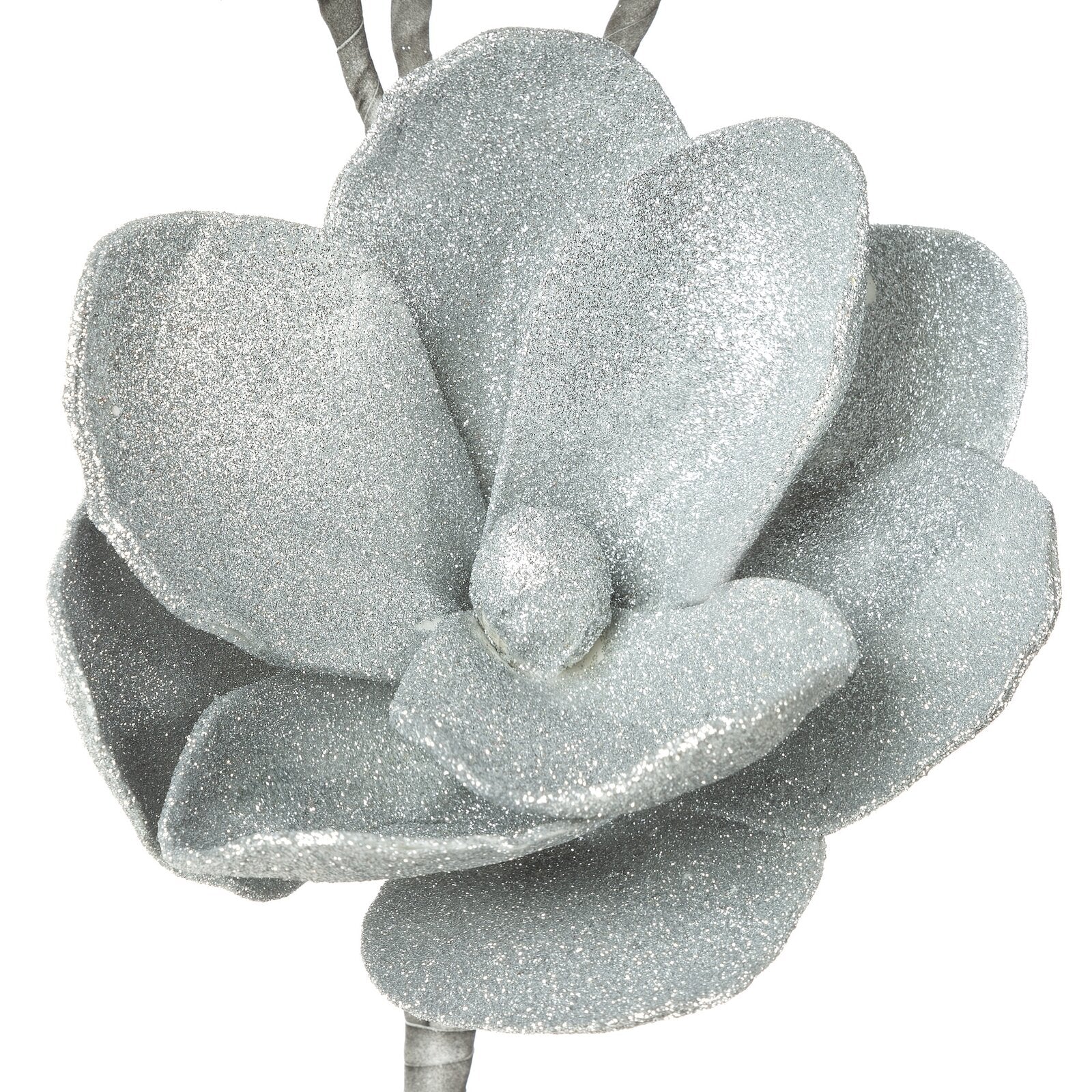 0d5acd12957cec51d0ecc399f6b978be