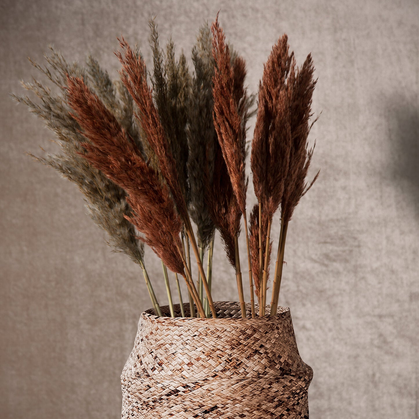 a6b4e15d4386488a3c84480eee6496cb