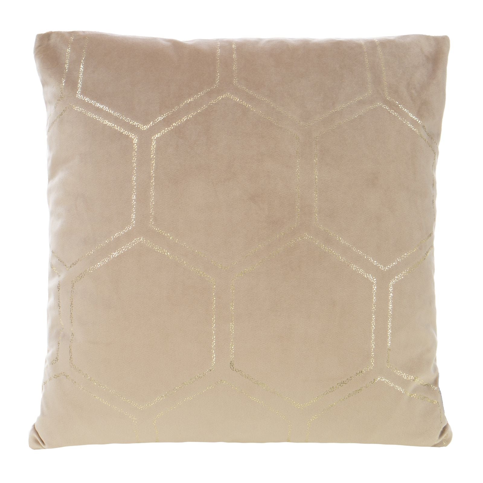 6d8c44cc73151e2514fb449c84c2edc7