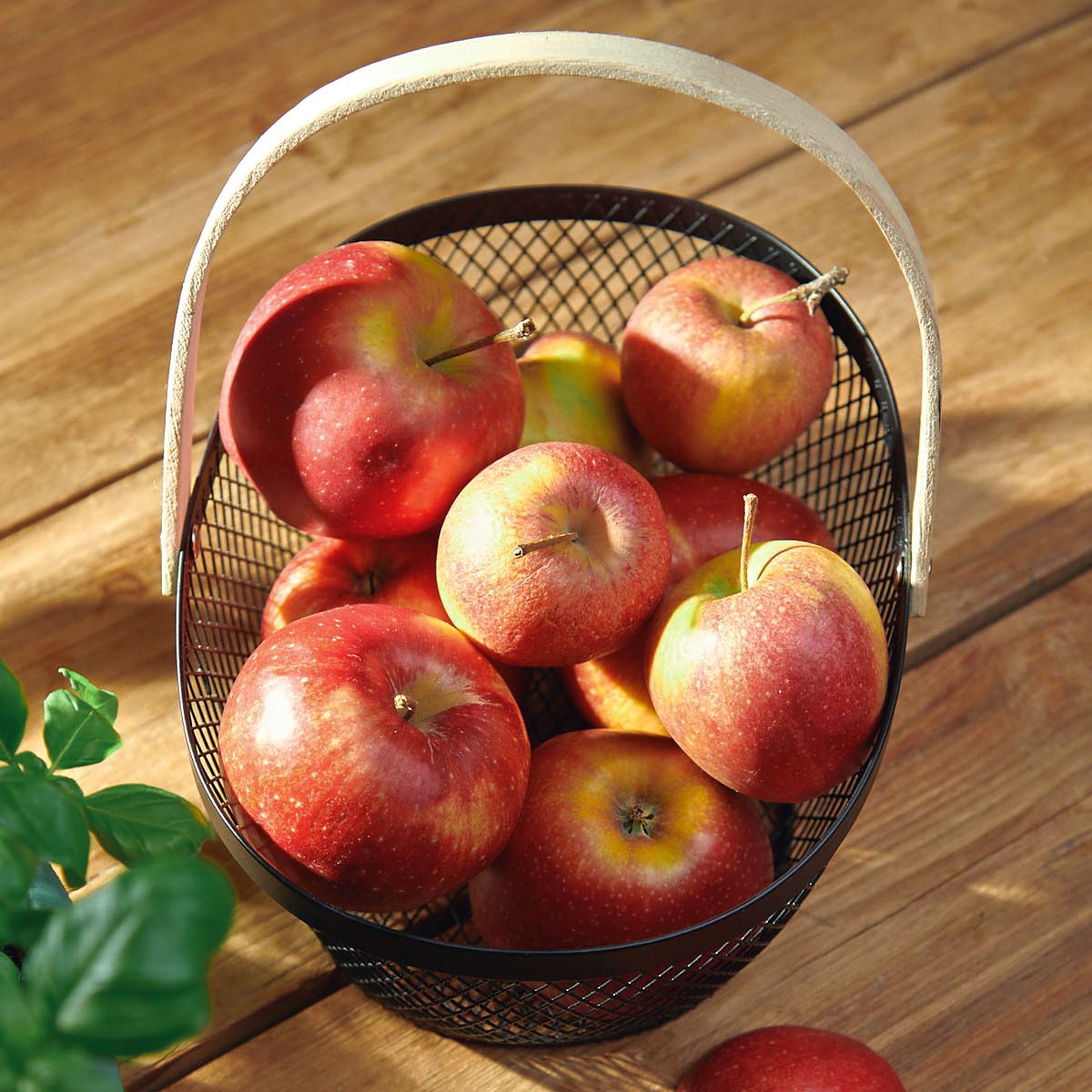 FORRES melns grozs 23x21 cm - N1 Home