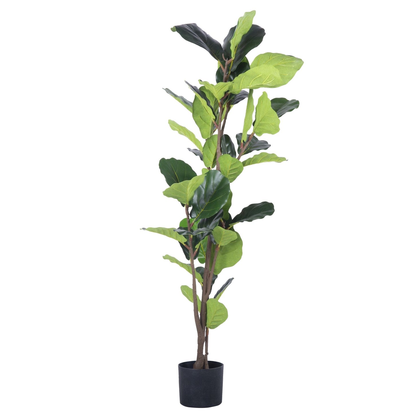 Mākslīgais fikuss TROPU ZONA 125 cm - N1 Home