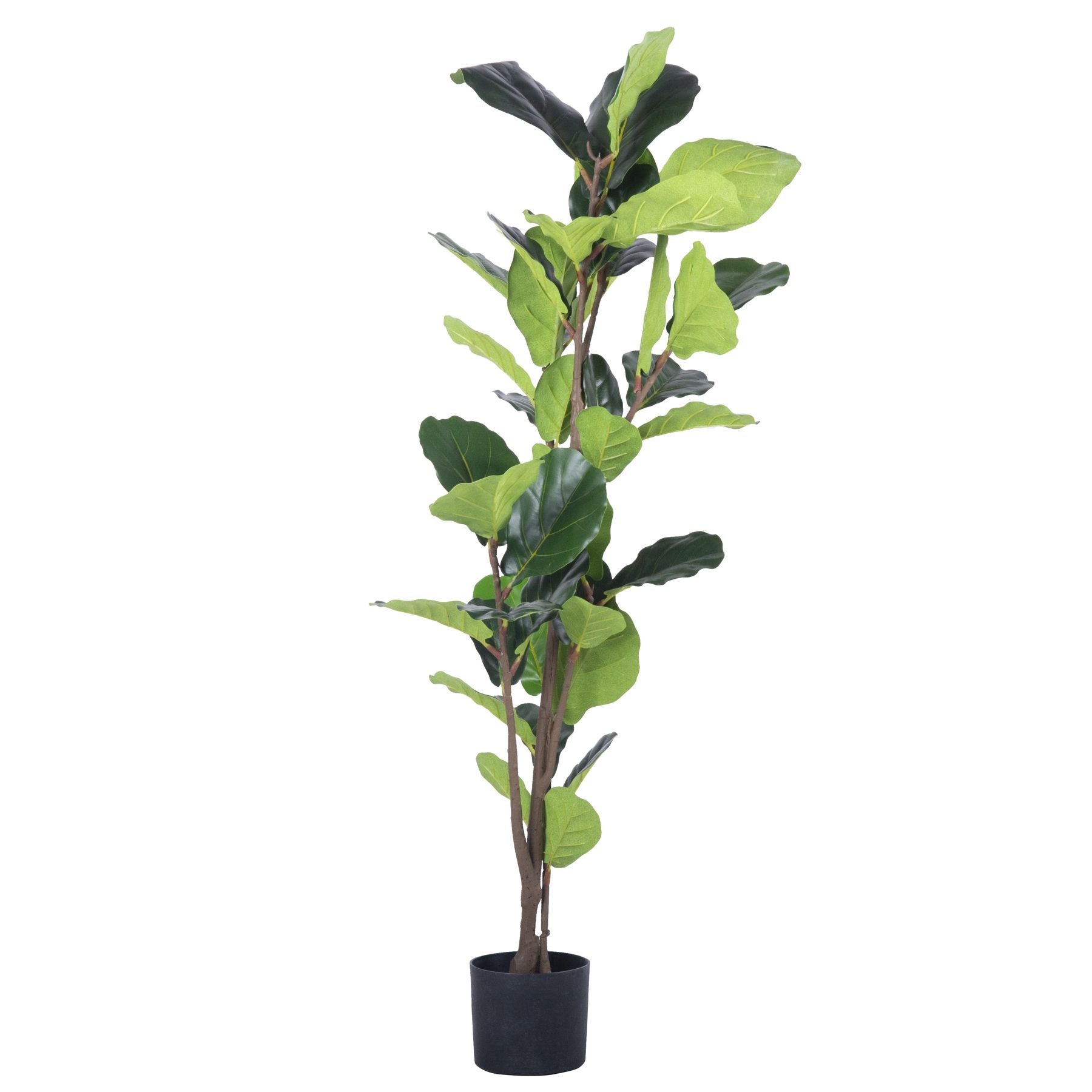 Mākslīgais fikuss TROPU ZONA 125 cm - N1 Home