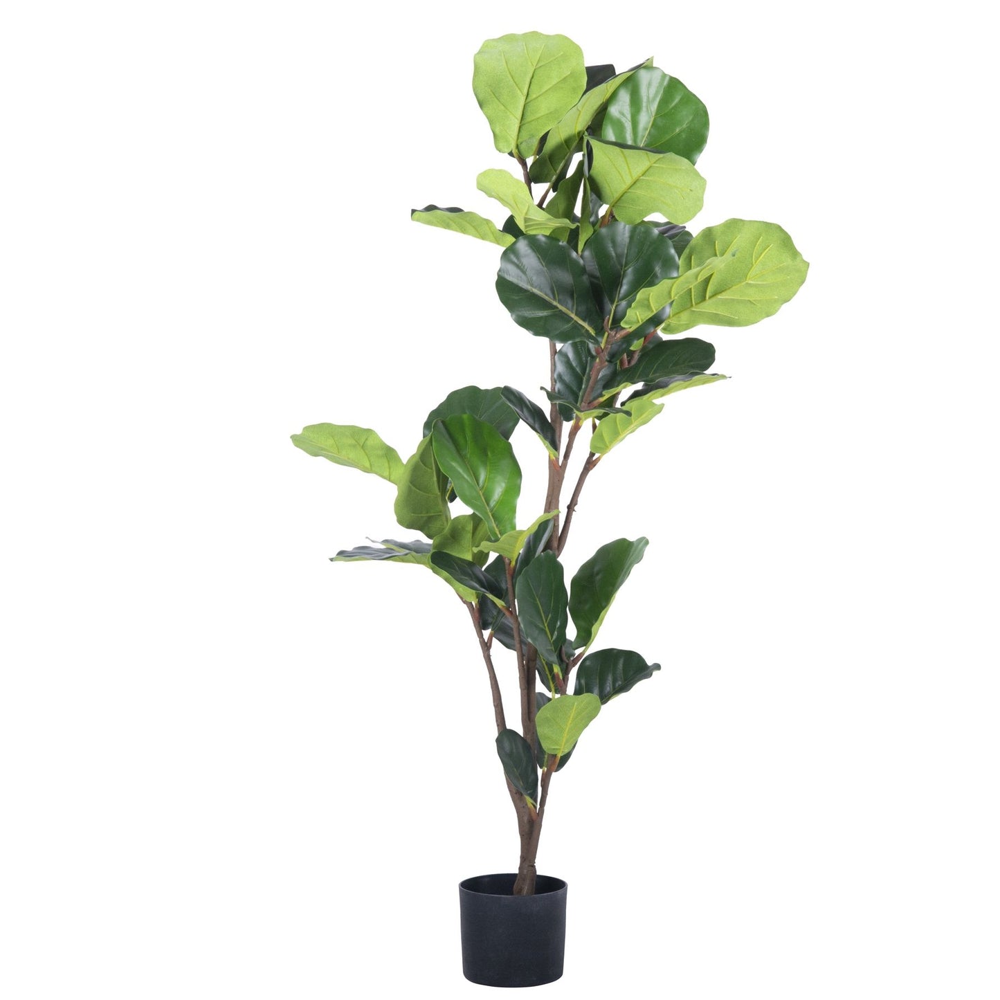 Mākslīgais fikuss TROPU ZONA 125 cm - N1 Home