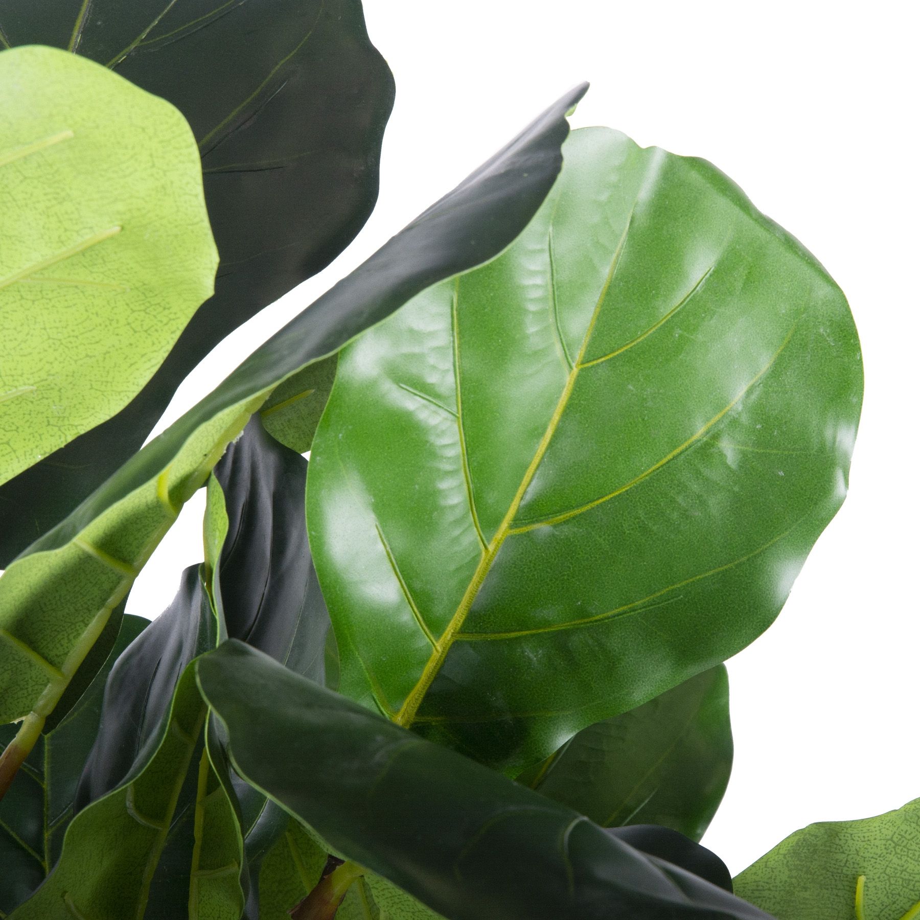 Mākslīgais fikuss TROPU ZONA 125 cm - N1 Home